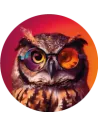 Hébergement site E-commerce